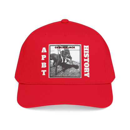 Mid Profile Baseball Cap