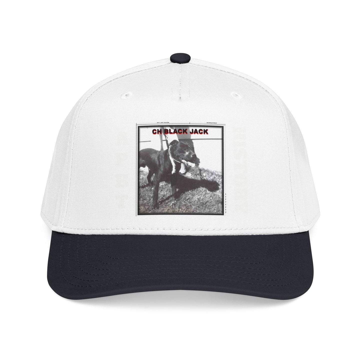 Mid Profile Baseball Cap