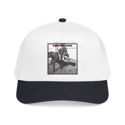 Mid Profile Baseball Cap
