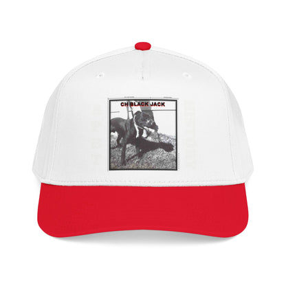 Mid Profile Baseball Cap