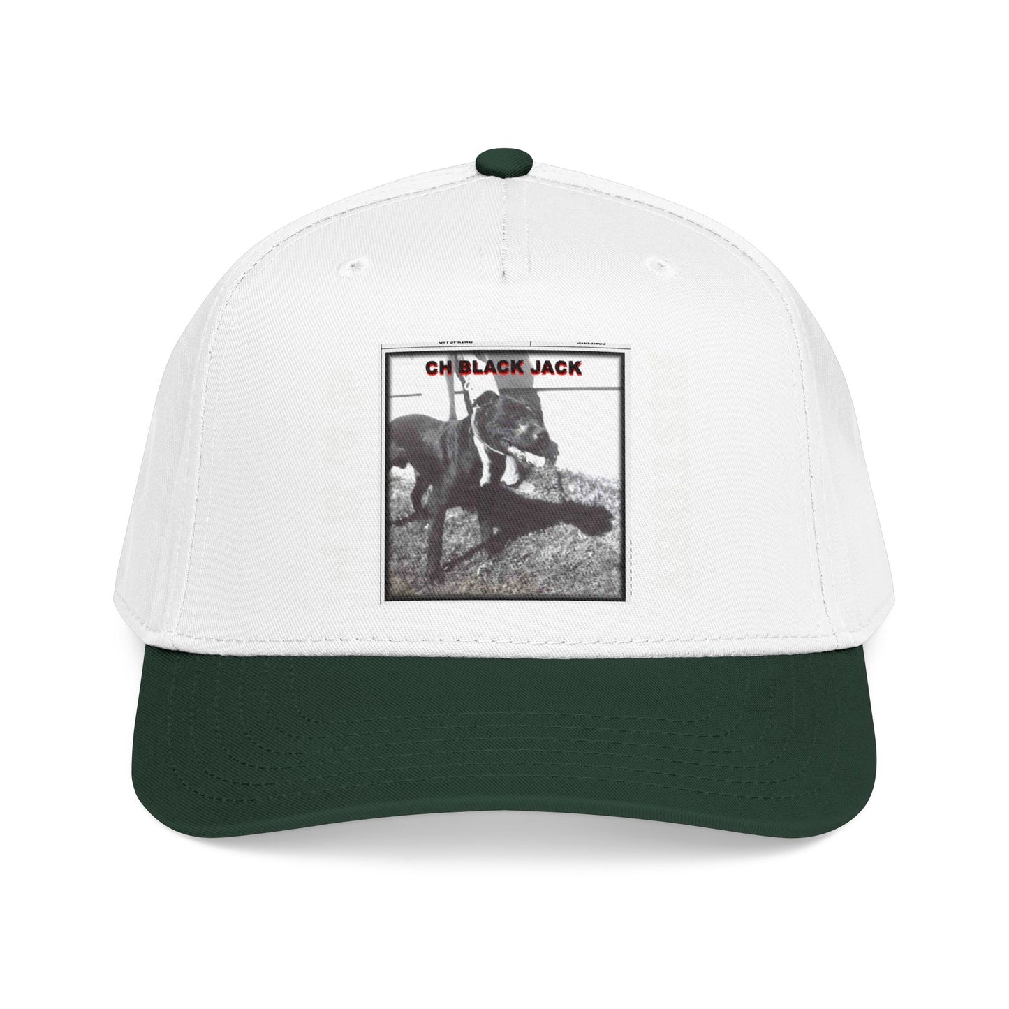 Mid Profile Baseball Cap