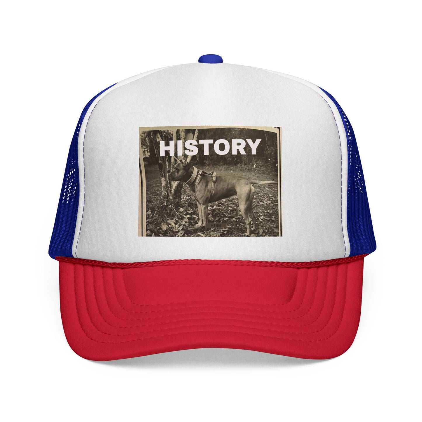 Vintage-Inspired History Trucker Cap, Retro Baseball Hat, Dog Lover Gift, Outdoor Style, Casual Headwear