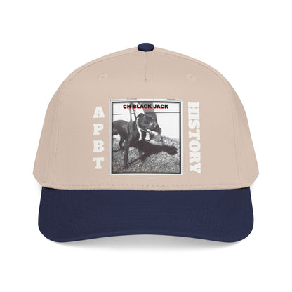 Mid Profile Baseball Cap