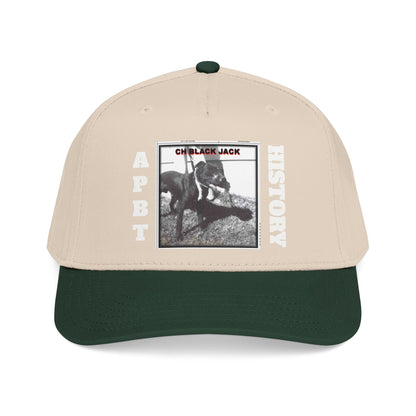 Mid Profile Baseball Cap