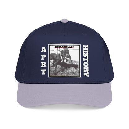 Mid Profile Baseball Cap