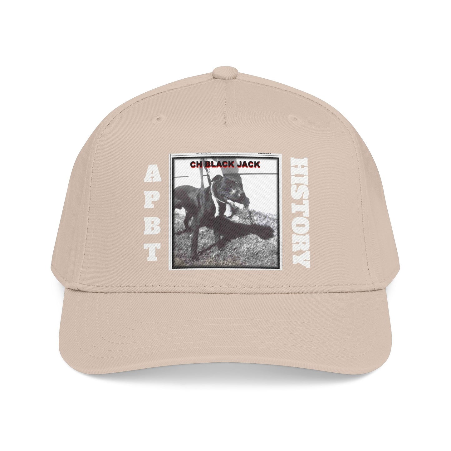 Mid Profile Baseball Cap