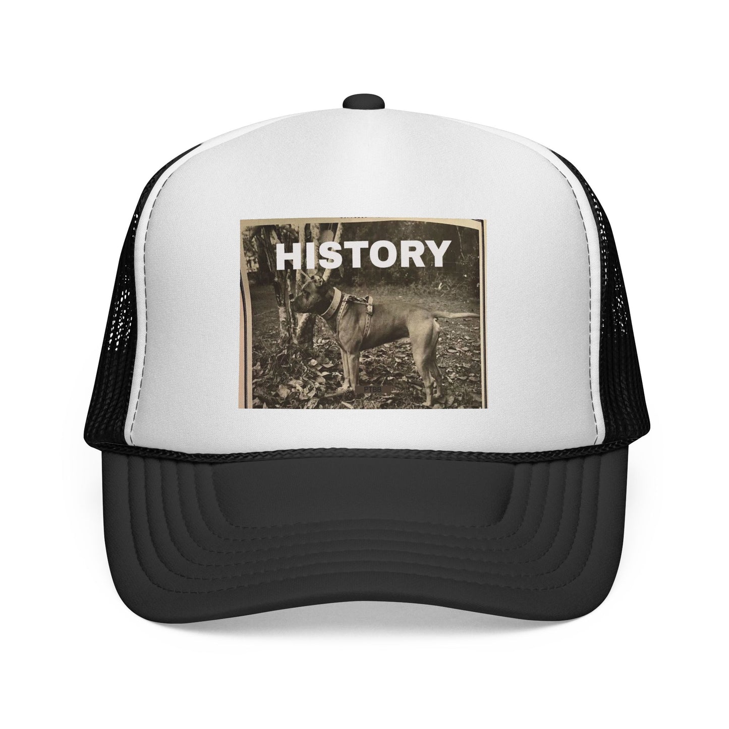 Vintage-Inspired History Trucker Cap, Retro Baseball Hat, Dog Lover Gift, Outdoor Style, Casual Headwear