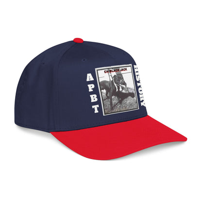 Mid Profile Baseball Cap