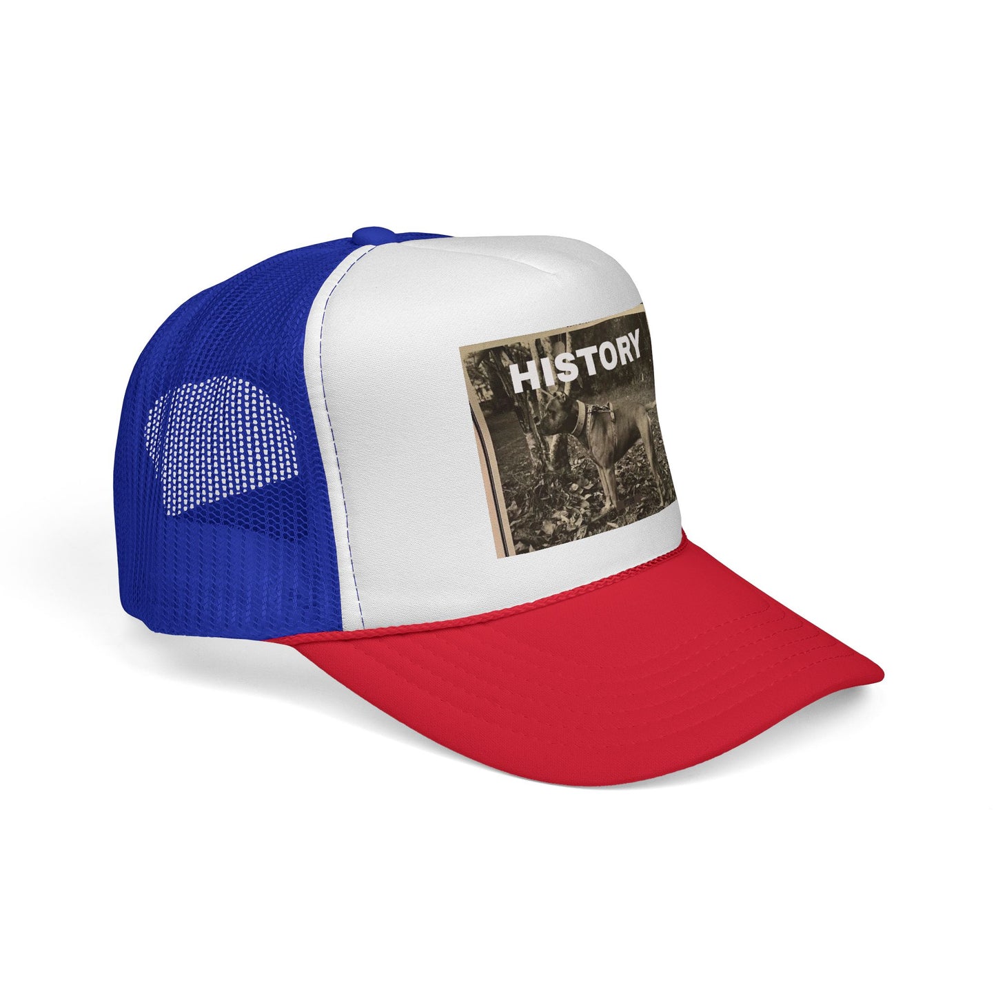Vintage-Inspired History Trucker Cap, Retro Baseball Hat, Dog Lover Gift, Outdoor Style, Casual Headwear