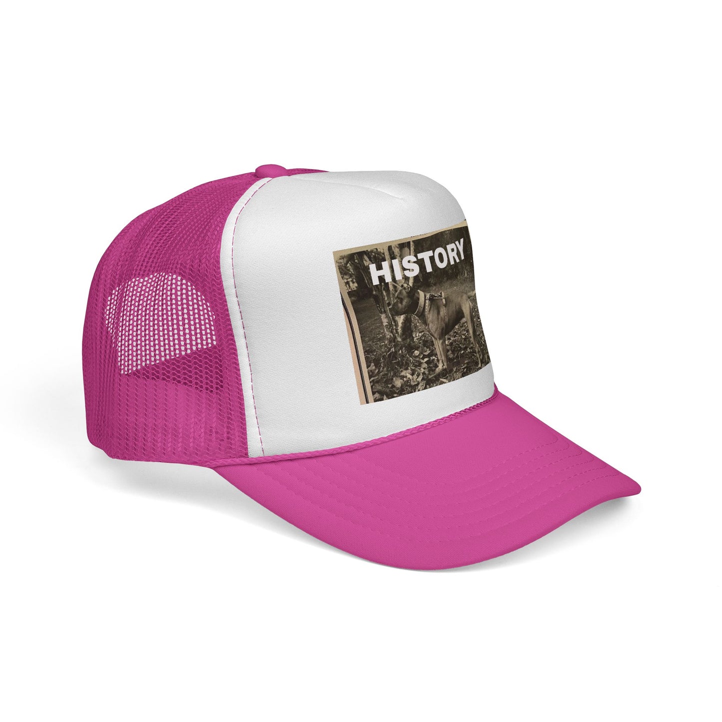 Vintage-Inspired History Trucker Cap, Retro Baseball Hat, Dog Lover Gift, Outdoor Style, Casual Headwear