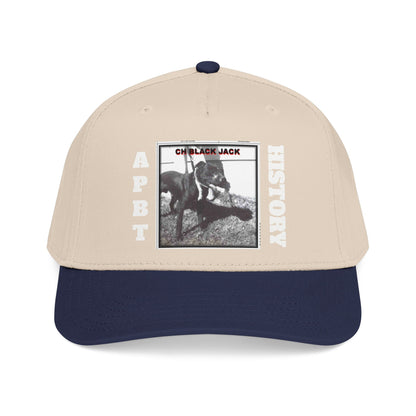 Mid Profile Baseball Cap