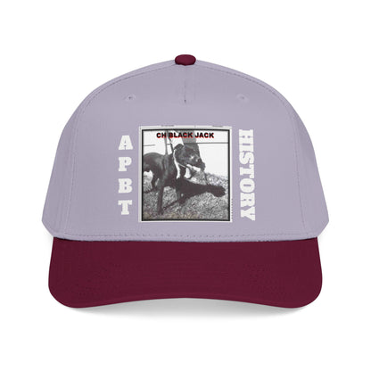 Mid Profile Baseball Cap