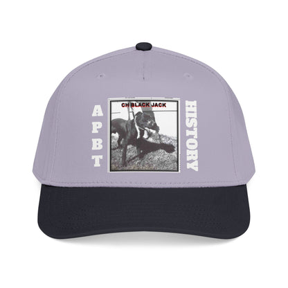 Mid Profile Baseball Cap