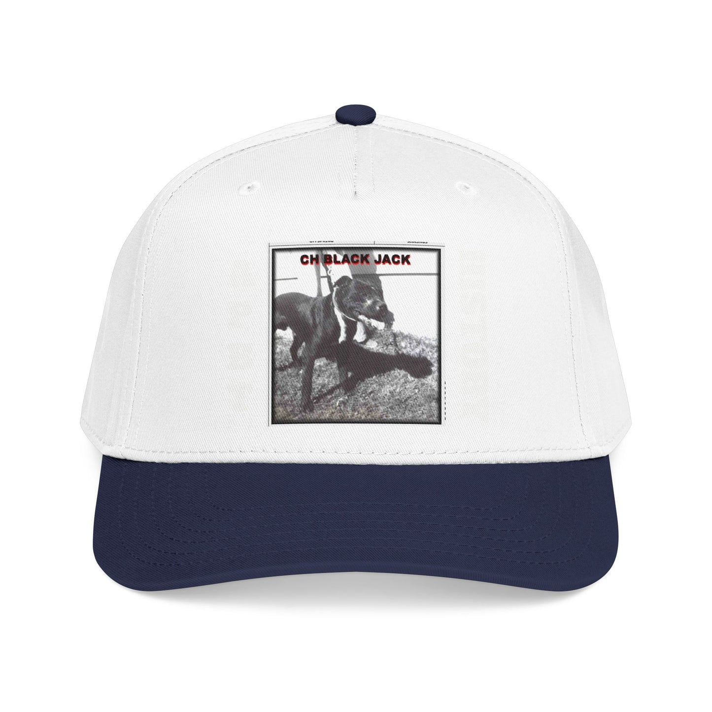 Mid Profile Baseball Cap