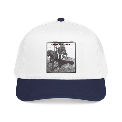 Mid Profile Baseball Cap