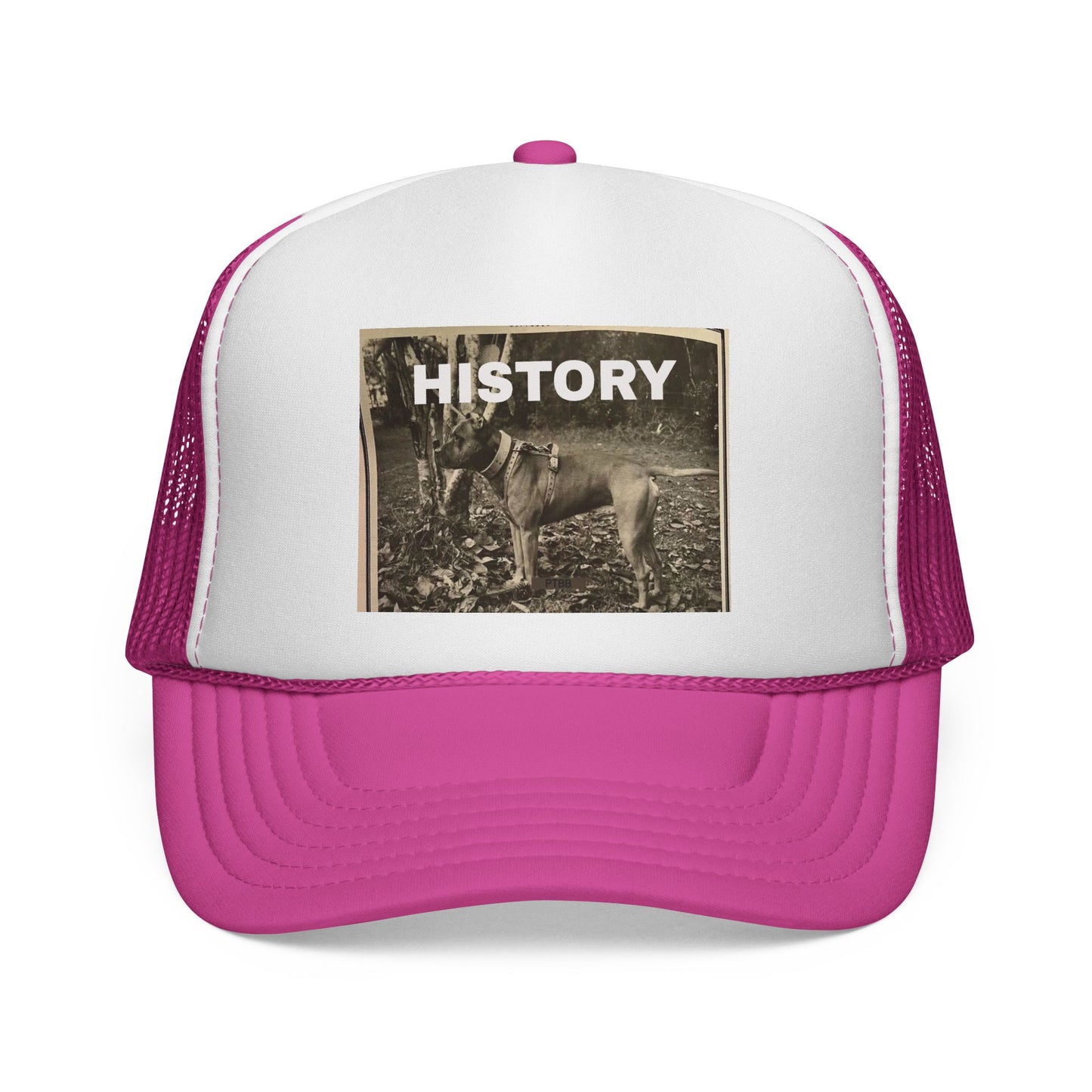 Vintage-Inspired History Trucker Cap, Retro Baseball Hat, Dog Lover Gift, Outdoor Style, Casual Headwear