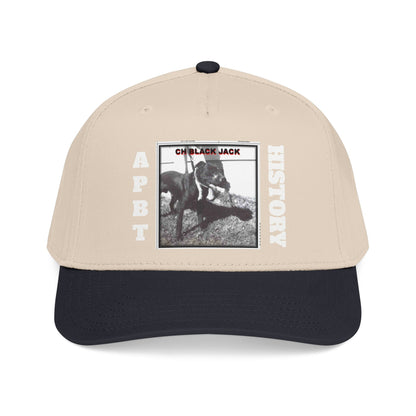 Mid Profile Baseball Cap
