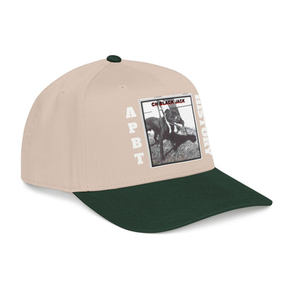 Mid Profile Baseball Cap