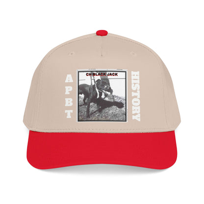 Mid Profile Baseball Cap