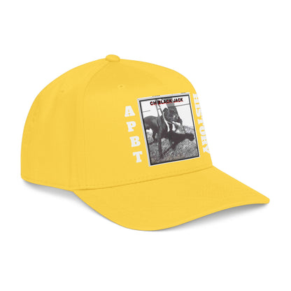 Mid Profile Baseball Cap