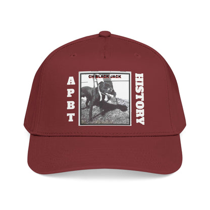Mid Profile Baseball Cap