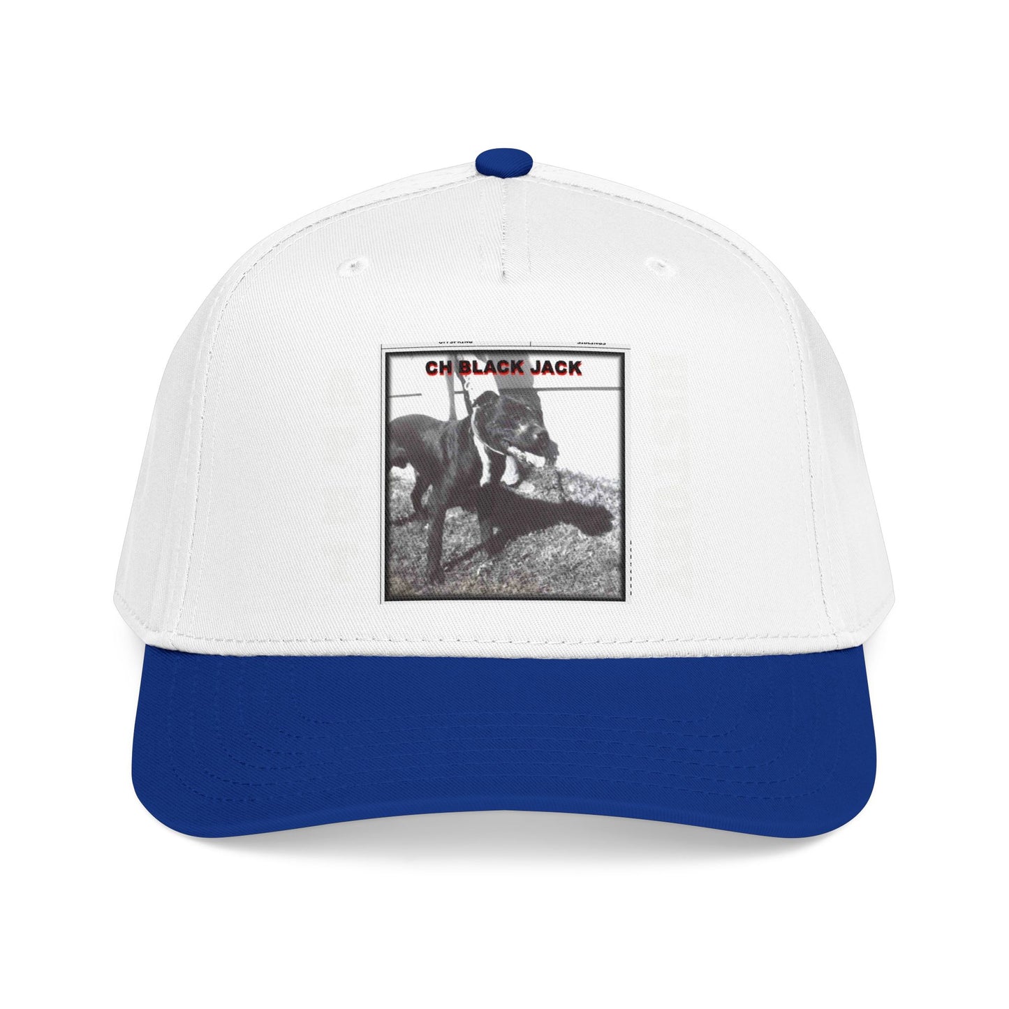 Mid Profile Baseball Cap