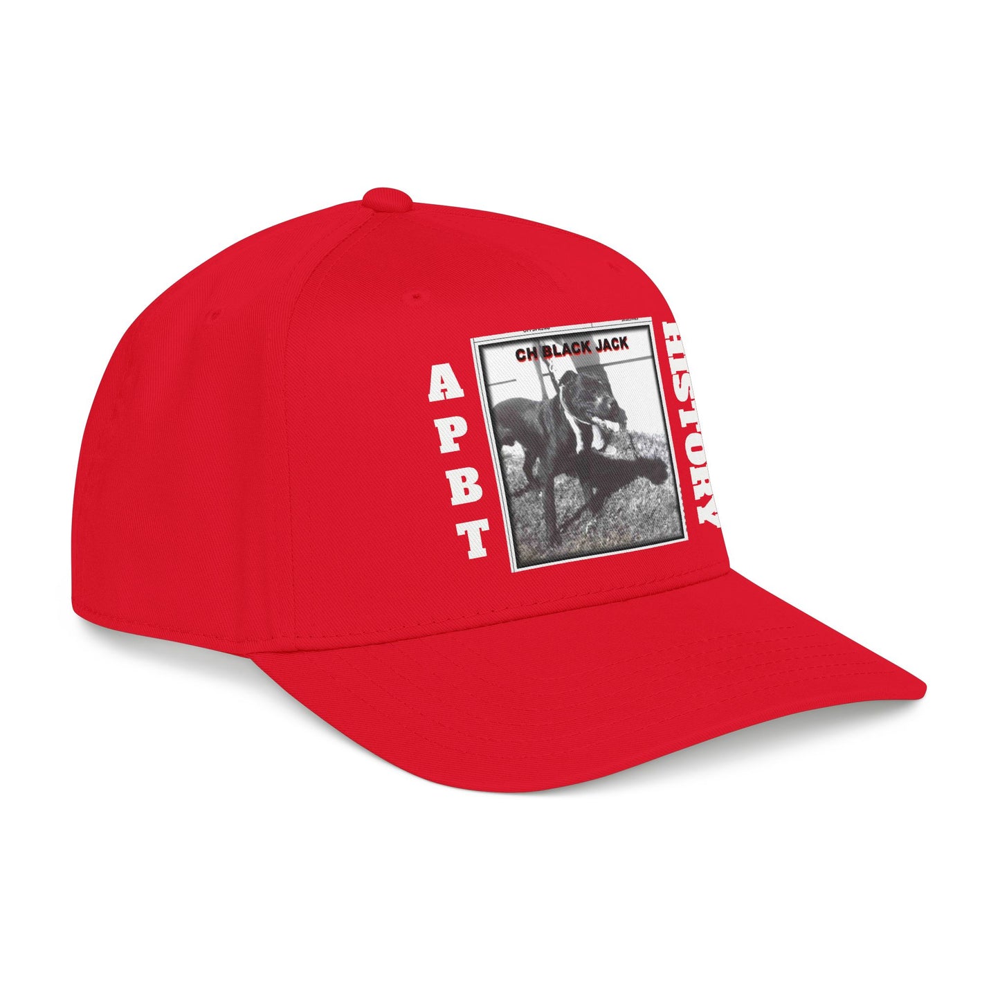 Mid Profile Baseball Cap