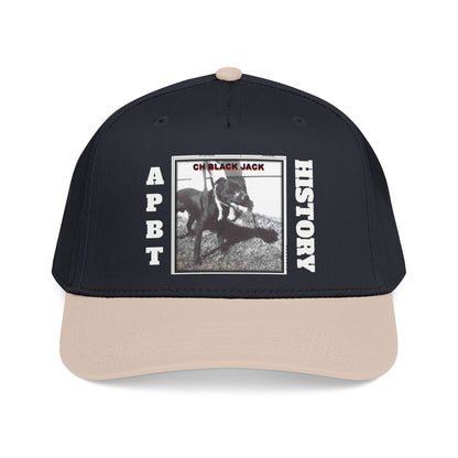 Mid Profile Baseball Cap