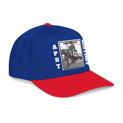 Mid Profile Baseball Cap