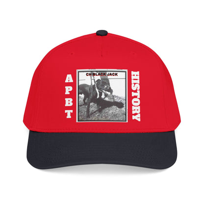 Mid Profile Baseball Cap