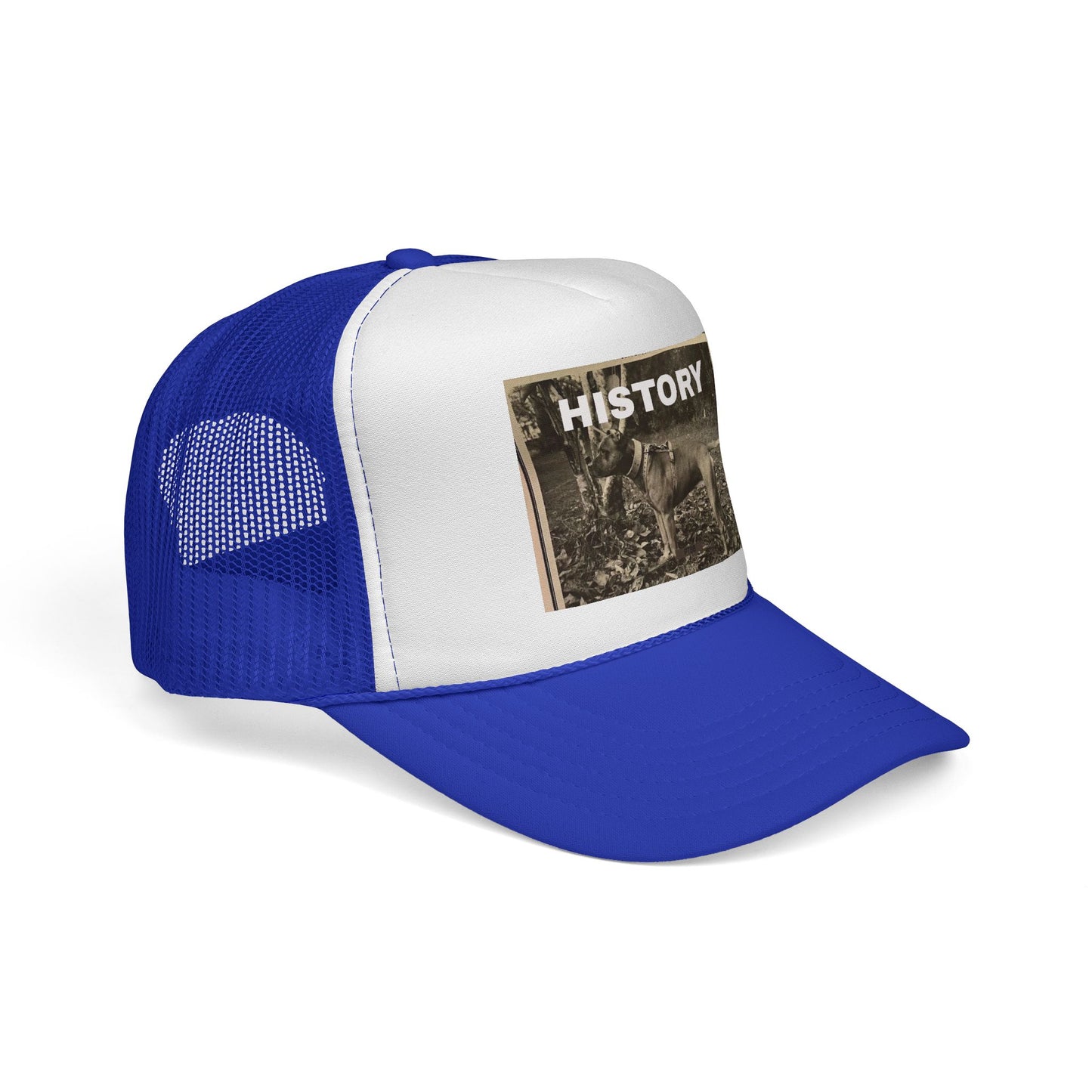 Vintage-Inspired History Trucker Cap, Retro Baseball Hat, Dog Lover Gift, Outdoor Style, Casual Headwear