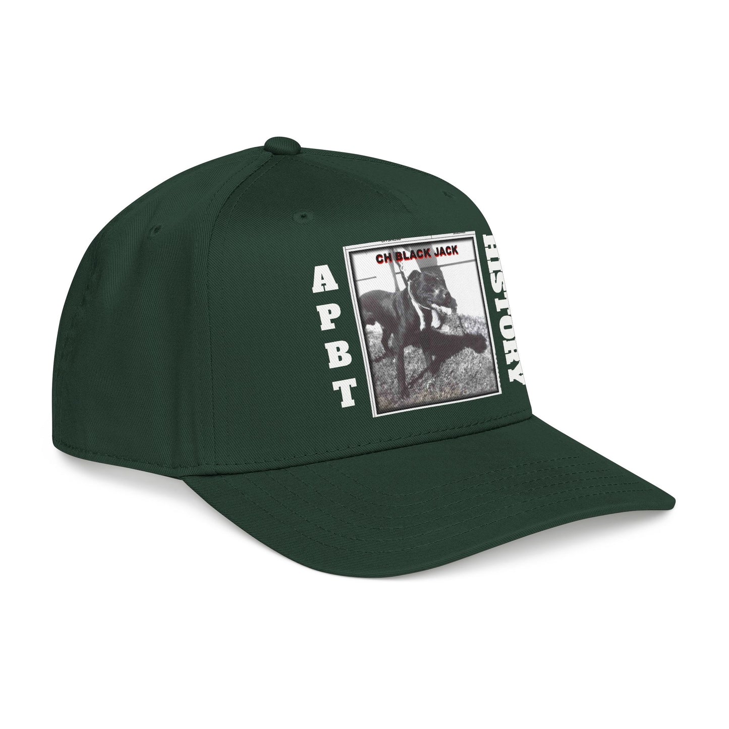 Mid Profile Baseball Cap