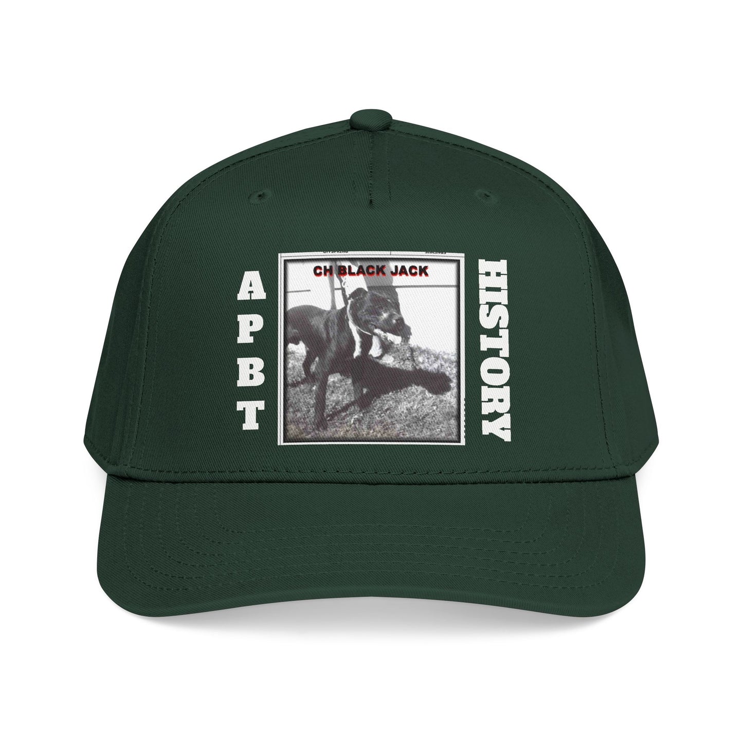 Mid Profile Baseball Cap