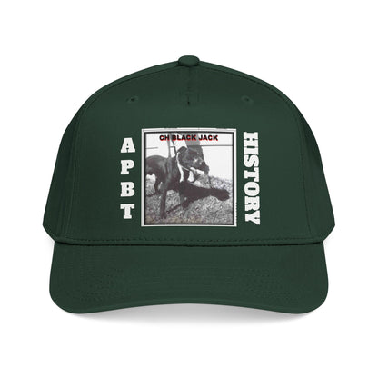 Mid Profile Baseball Cap