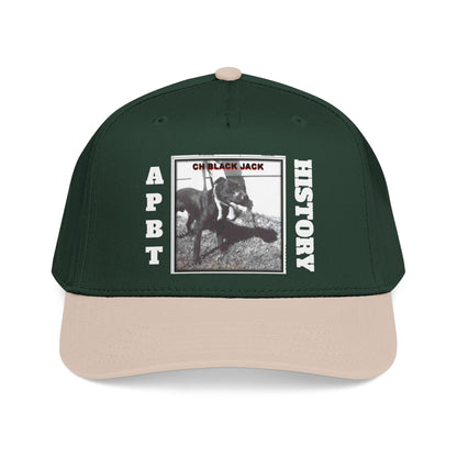 Mid Profile Baseball Cap