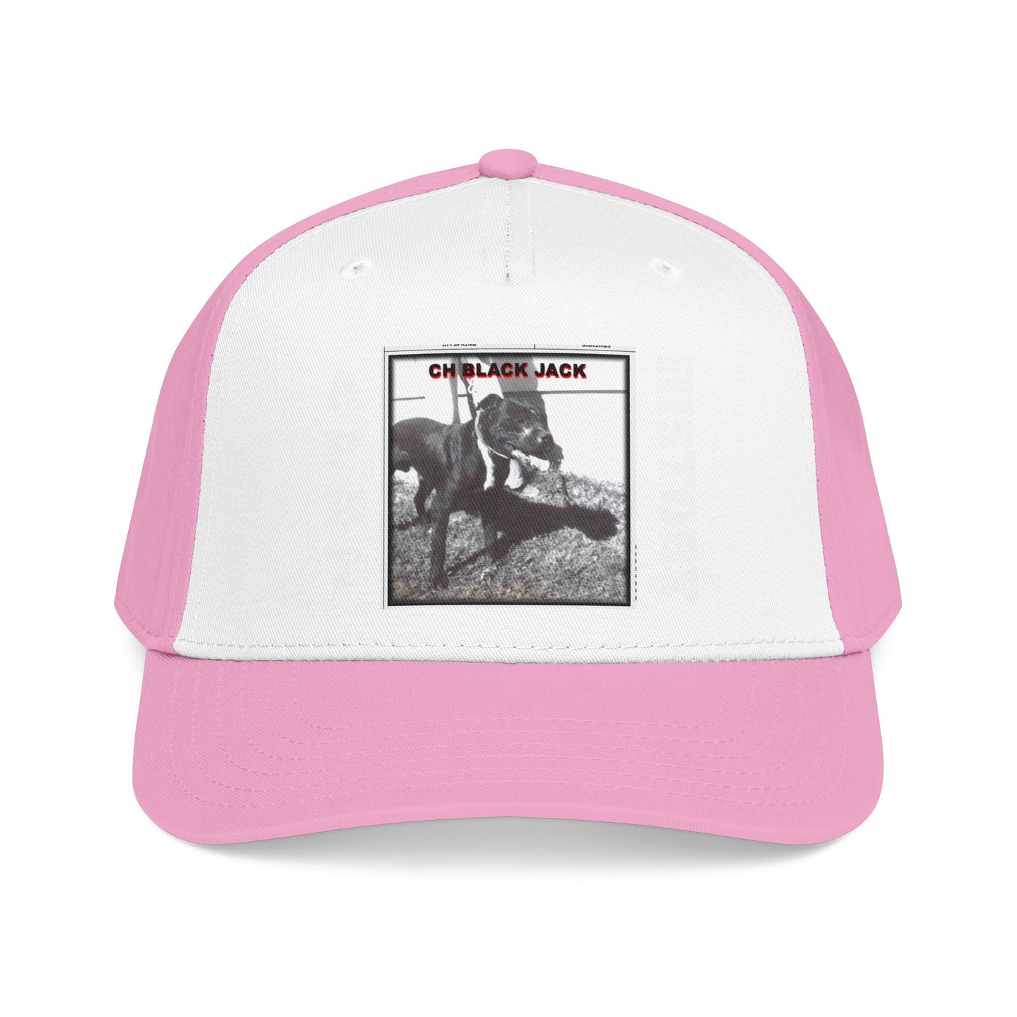 Mid Profile Baseball Cap
