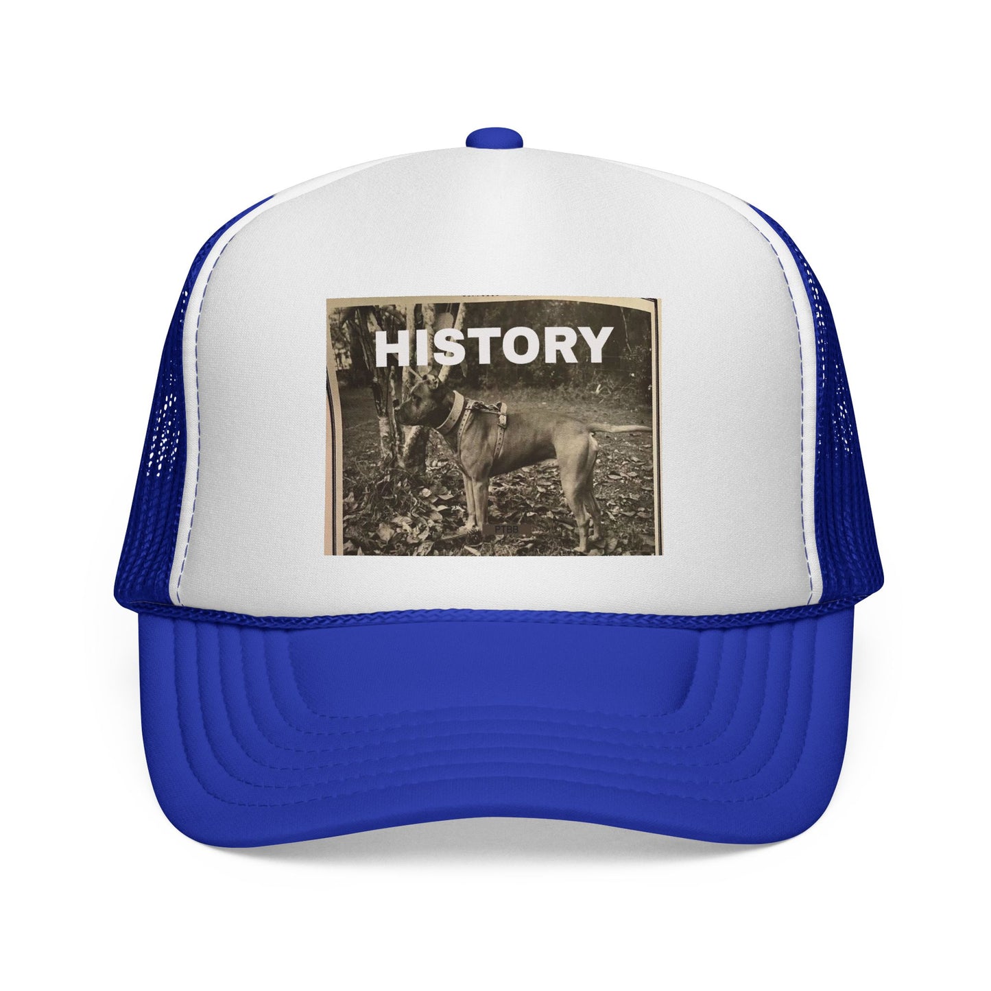 Vintage-Inspired History Trucker Cap, Retro Baseball Hat, Dog Lover Gift, Outdoor Style, Casual Headwear