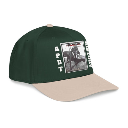 Mid Profile Baseball Cap