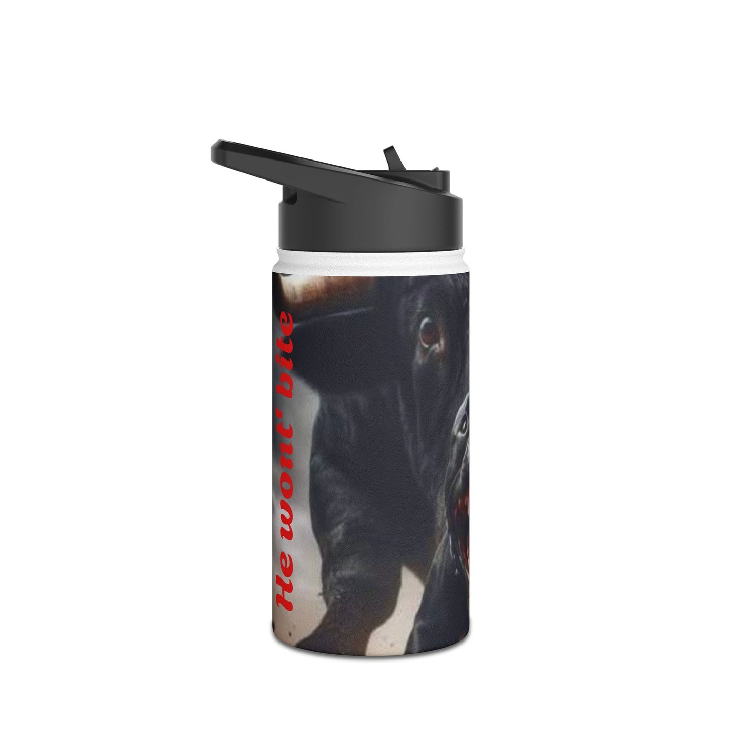 Dog Lover's Stainless Steel Water Bottle, Motivational Hydration for Pet Owners, Gift for Dog Lovers, Funny Animal Bottle, Durable [...]