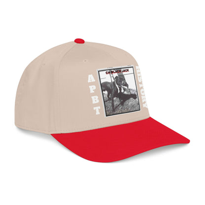 Mid Profile Baseball Cap