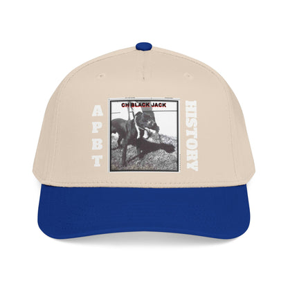 Mid Profile Baseball Cap