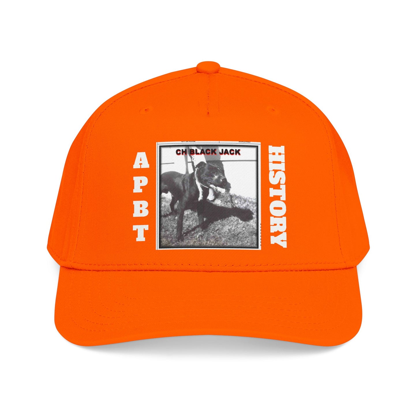 Mid Profile Baseball Cap