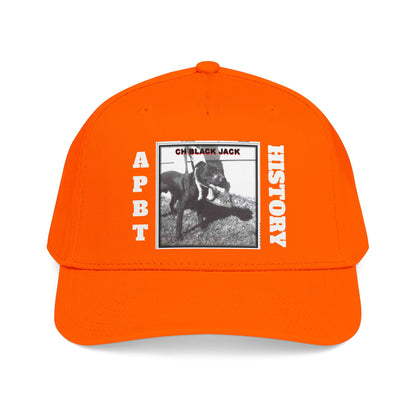 Mid Profile Baseball Cap