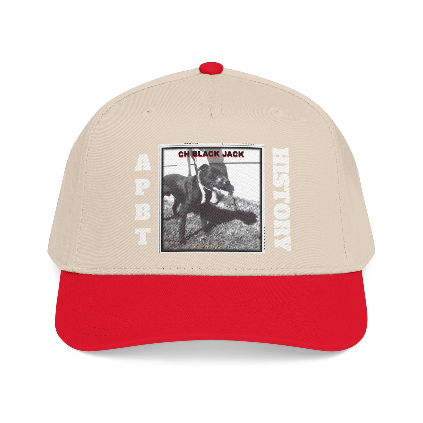 Mid Profile Baseball Cap