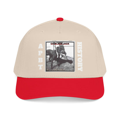 Mid Profile Baseball Cap