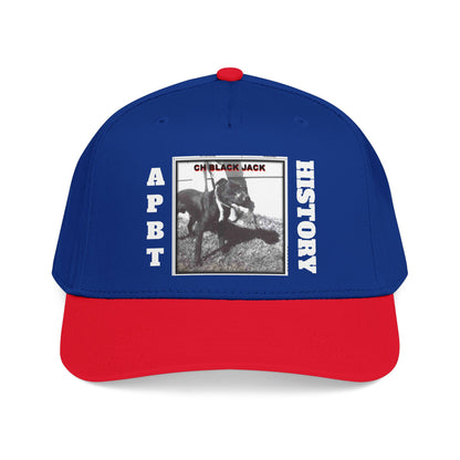 Mid Profile Baseball Cap