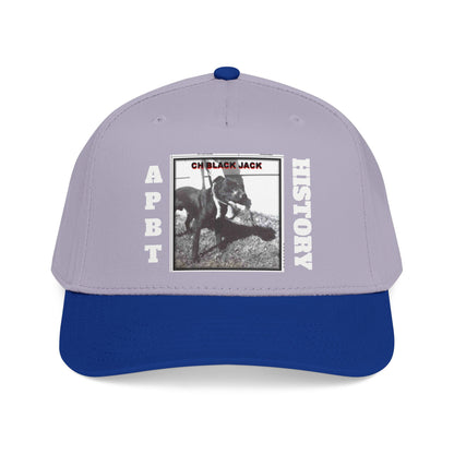 Mid Profile Baseball Cap