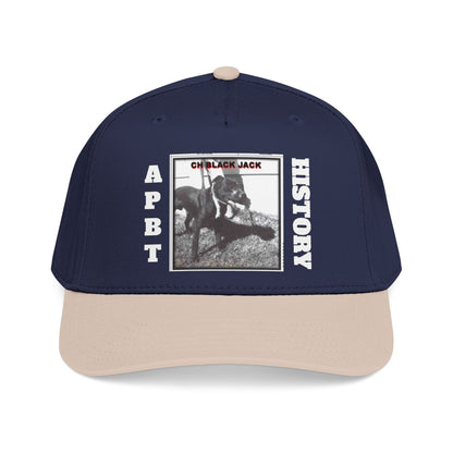 Mid Profile Baseball Cap