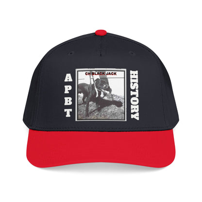 Mid Profile Baseball Cap
