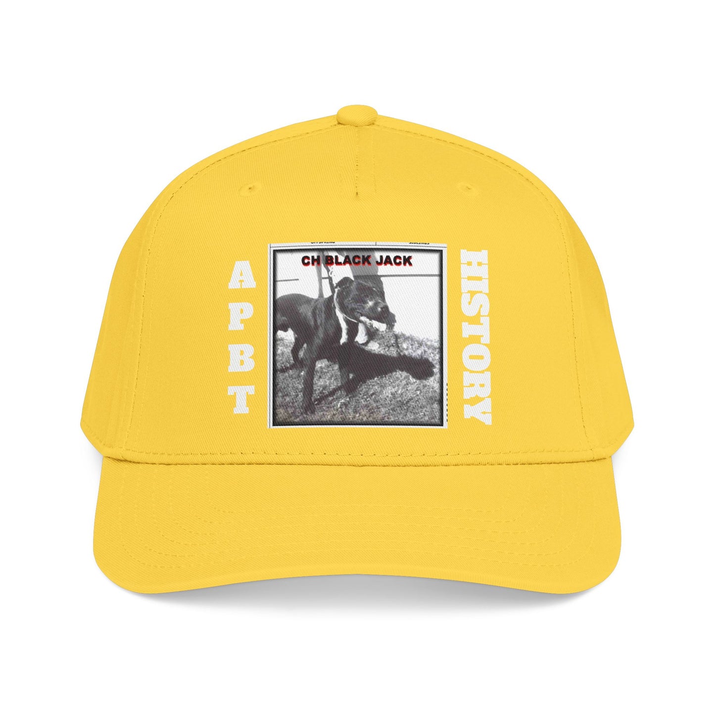 Mid Profile Baseball Cap